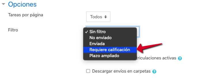 Opciones: filtro Requiere calificación